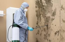 Best Asbestos and Lead Testing During Mold Inspection  in Glenwood Springs, CO